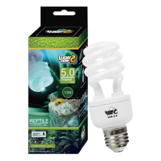 Terrariumi UVB lamp (13W, E27)