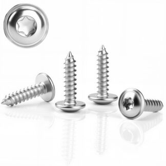 Roostevabast terasest isepuurivad Torx-peaga kruvid (60tk, M5x20mm)